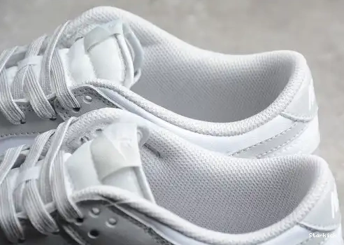 Low Dunk Nike Grey Fog DD1391-103 0610